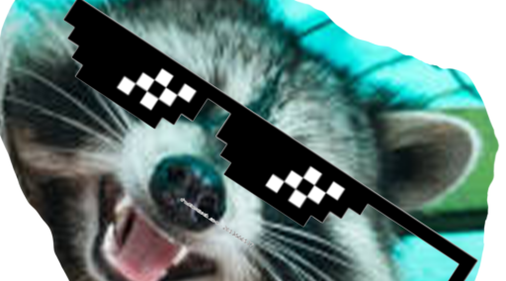 cropped-the-trash-panda